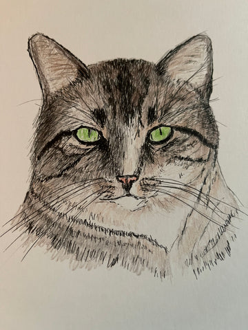 Kitty Pet Portrait, Commissioned