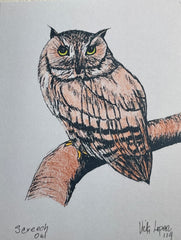 Plexiglass Framed Screech Owl Print and Great Horned Owl