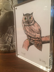 Plexiglass Framed Screech Owl Print and Great Horned Owl